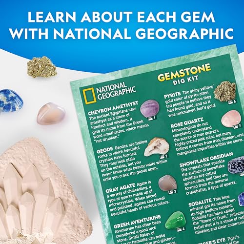 National Geographic Gemstone Dig Kit – Dig Up 10 Real Gemstones and Crystals, Science Kit for Kids, Gem Digging Kit, Gift ...