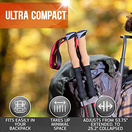 Pike Trail Trekking Poles - Lightweight Carbon Fiber Collapsible Sticks for Walking and Hiking - for Men and Women - Adjus...