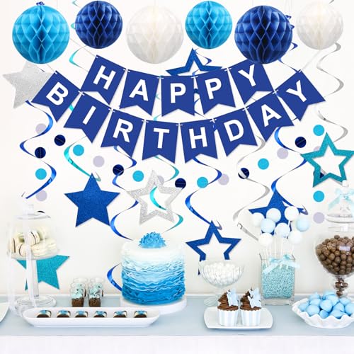 meowtastic Birthday Decorations, Happy Birthday Banner with Honeycomb Balls, Stars Hanging Swirl Streamers, Circle Dots Ga...