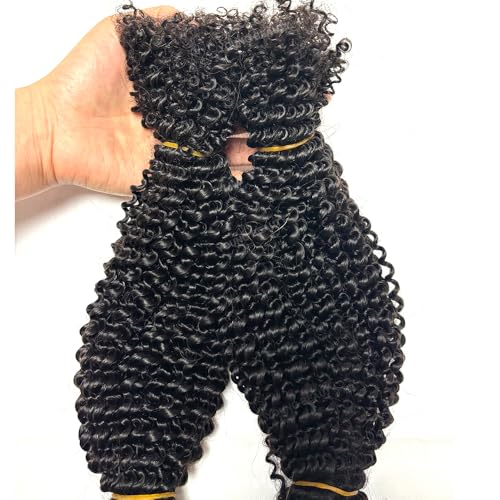 Afro Kinky Curly Bulk Human Hair for Twists/Braids/Permanent Micro Locs Bulk Human Hair Extensions For Braiding 100g/Bundles 22inch Natural Black