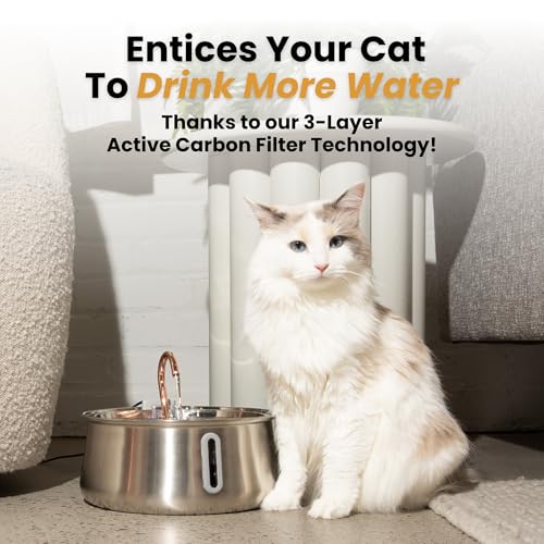 KittySpout Stainless Steel Cat Water Fountain Automatic Drinking Fountain, Quiet Circulating Water Bowl, Dishwasher Safe, ...