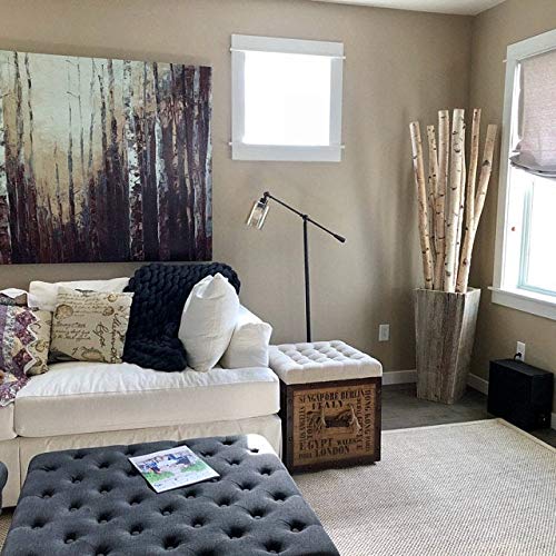 White Birch Pole Pack (Medium) Set of 3 White Birch Pole 1.5-2.5 inch Diameter x 4, 5, and 6 feet Tall