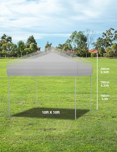 VerisShade 10x10 Pop Up Canopy Tent Outdoor Canopy with 3 Removable Sidewalls Heavy Duty Commercial Instant Tent Shelter W...