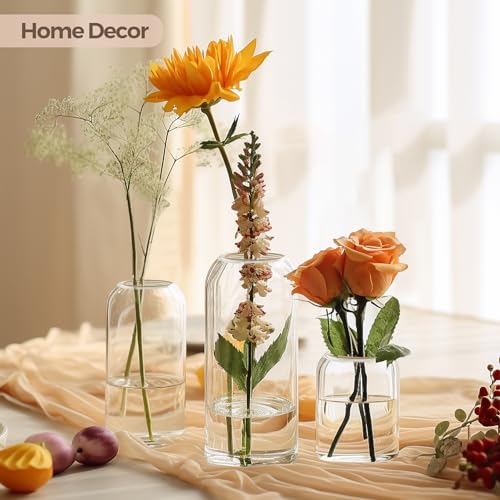 ComSaf Small Flower Vase Set of 12, Glass Bud Vases in Bulk, Clear Vases for Flower, Decor Centerpiece for Bathroom, Decor...