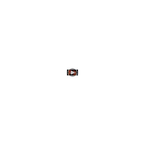 Giro Contour Snow Goggle Replacement Lens