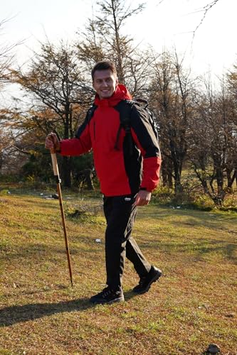 FOREST PILOT Trekking Pole - 1pc Pack Sassafras Wood Adjustable&Detachable Hiking or Walking Stick