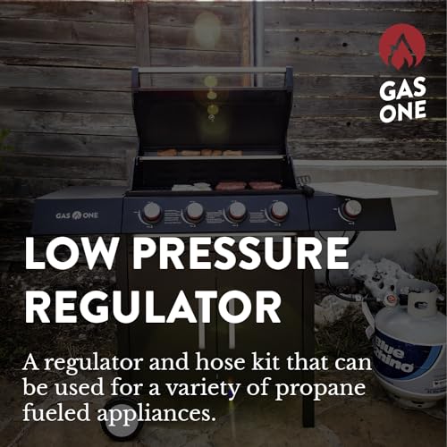 Megamaster 2-Burner 16,000 BTU Grill Bundle with Gas One 3 ft Propane Hose and Regulator for Fire Pits and Grills