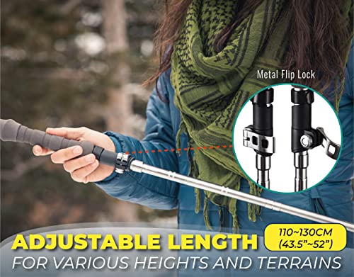 TREKOLOGY Trek-Z Cork Grip Trekking Poles – Lightweight Folding Hiking Poles, Adjustable Height, Compact Travel Design, Ai...