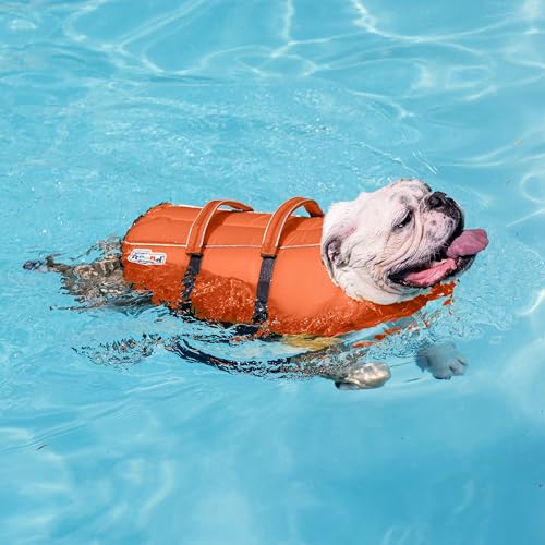 Outward Hound Granby Splash Dog Life Jacket – Flotation Vest for Swimming & Boating, Maximum Buoyancy, All Skill Levels, 2...