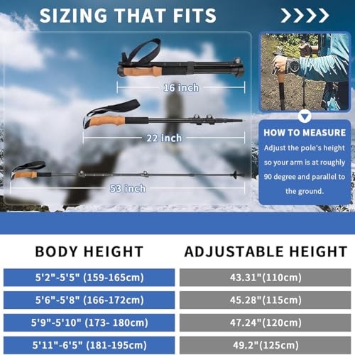 Hiking Poles: Ultra-Light Aluminum-Carbon Foldable, 3-Section Telescopic. for Hiking/Trekking/Nordic Walking. 45-53 inches...