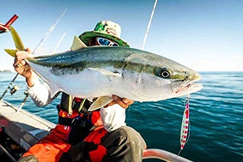 Nomad Design Deep Water Fishing - Erratic Action Trigger for Predators, Fast Sinking & BKK Jig Assist Hooks The Streaker 3...