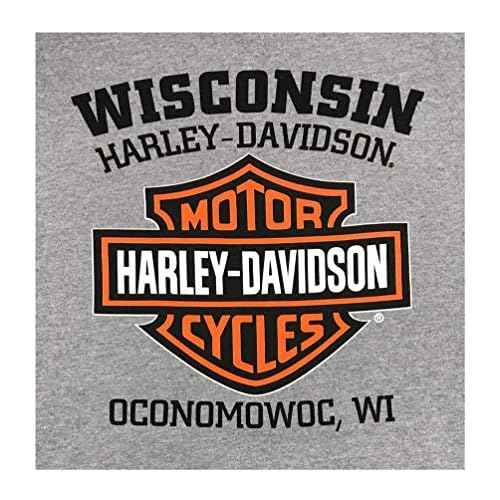 Harley-Davidson Men's Hooded Sweatshirt, Willie G Skull, Gray Hoodie 30296654