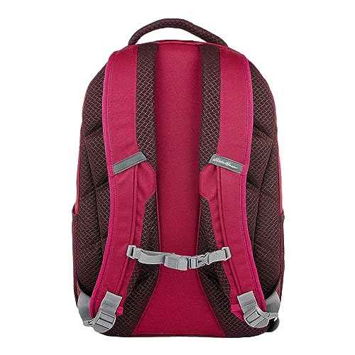 Eddie Bauer Adventurer Backpack with Organization Compartments and Hydration/Laptop Compatible Sleeve, Adventurer - Dark Berry, 25L
