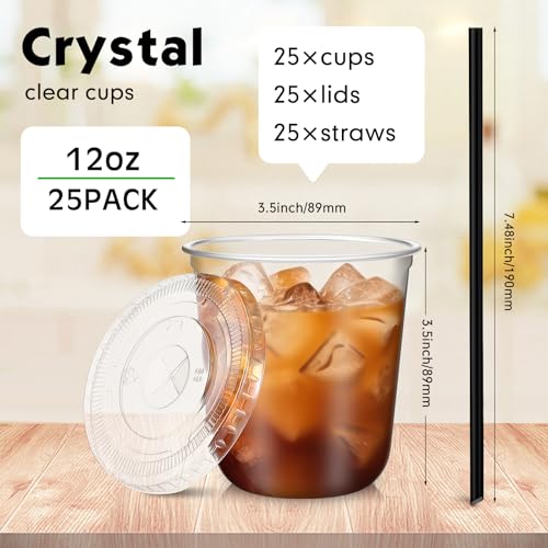 Ziliny 25 Set 12 oz Clear Plastic Cups with Lids and Straws, Disposable Iced Coffee PET Cups for Drinking Cold Beverage Ju...