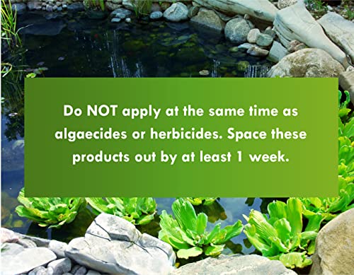 Pond Worx Water Clear - Concentrated Formulation Improves Water Clarity and Quality, Helps Clear Cloudy Water, Safe for Fi...