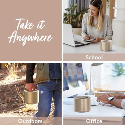 Bentgo Stainless Insulated Food Container - 2.4 Cups (19 oz), Triple-Layer Insulation, Vacuum Seal, Leak-Proof, Built-In H...