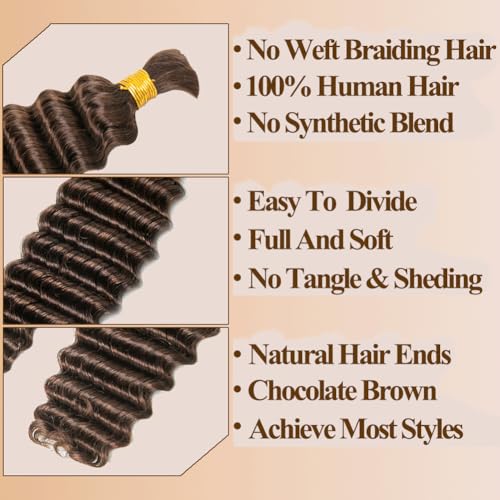 Human Braiding Hair For Braids 24 Inch 100g/2Bundles Deep Wave Bulk Human Hair For Braiding Wet And Wavy Human Hair Extensions For Braids 12A No Weft Deep Wave Bulk Human Hair Chocolate Brown