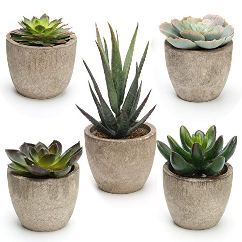 Coitak Artificial Succulent Plants Potted, Assorted Decorative Faux Succulent Potted Fake Cactus Cacti Plants with Pots, S...