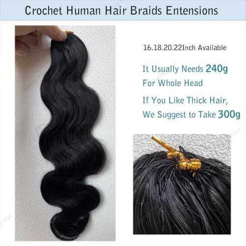 Body Wave Pre Separated Crochet Human Hair Braids Extensions Body Wave Brazilian Virgin Hair for Boho Braiding Knotless Feather Hair Extensions For Black Women Natural Color 20inch 60g