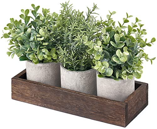 Dahey 3 Pack Mini Potted Artificial Eucalyptus Fake Plants with Wood Tray Centerpiece Table Decorations, Farmhouse Pulp Fl...
