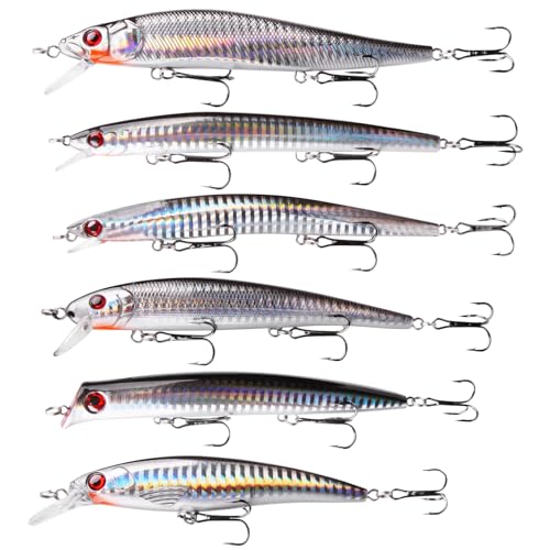 Saltwater Fishing Lures Kit, Surf Fishing Minnow Lures Jerkbait Popper Plugs Deep Diving Hard Baits Treble Hooks for Strip...