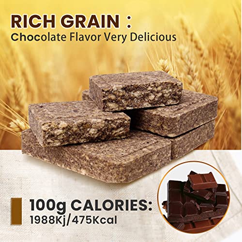 Emergency Food Ration Bars, Chocolate Flavor Survival Tabs Supply for Outdoor Camping Emergency Snowstorm Earthquake Disas...