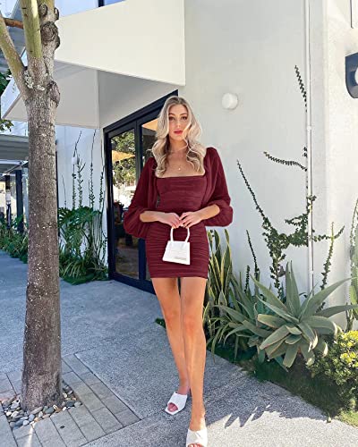 Wenrine Women's Mesh Long Sleeve Square Neck Ruched Party Club Cocktail Bodycon Mini Dress