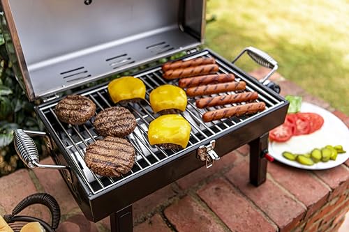 Charbroil 1-Burner Portable Gas Grill, Stainless Steel - 465640214