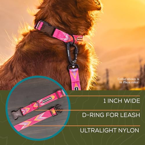 Wilderdog Ultralight Collar Series for Dogs - Medium - Playa