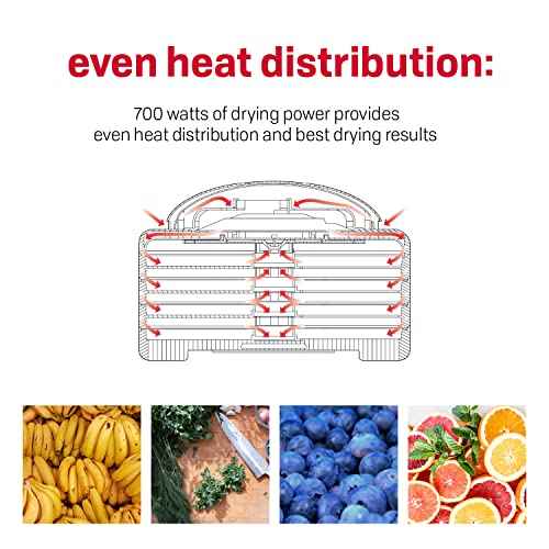 Nesco FD-80A Square Shaped Food Dehydrator, For Snacks, Fruit, Beef Jerky, White