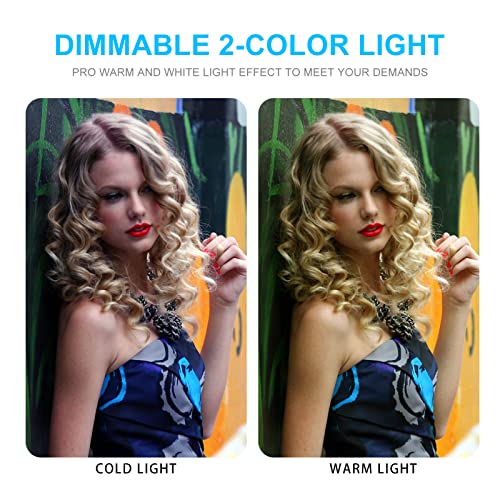 SYSCLOUD Photo Studio Light Box, 20"x20" Professional Photography Photo Light Box with 160 LEDs Lights & 6 Kinds Double-Si...