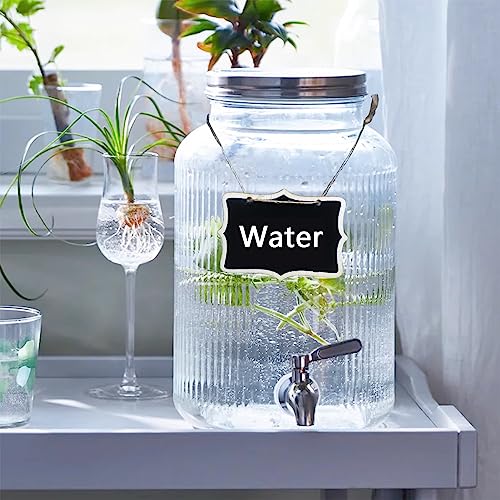 Mapeoes 1.5 Gallon Glass Drink Dispenser with Spigot, Large Glass Juice Beverage Water Jar for Party and Summer Fridge, Wi...
