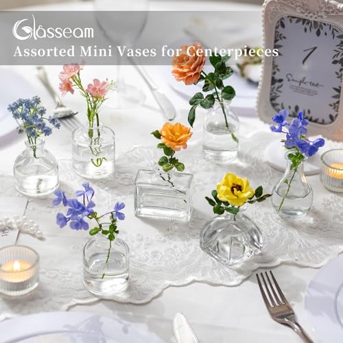 Glasseam Clear Glass Vases for Centerpieces: Mini Flower Vase Set 28Pcs Bud Vases in Bulk - Modern Small Vases for Home Ro...