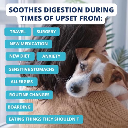 Under the Weather Bland Diet for Dogs | Easy to Digest for Sick Dogs | Always Be Ready | Contains Electrolytes - All Natur...