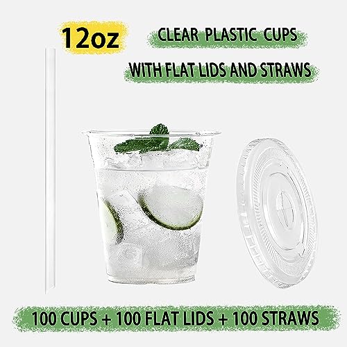 TashiBox[100 sets 12 oz plastic cups with lids and straws disposable, lemonade stand supplies,coffee essentials,smoothie cups