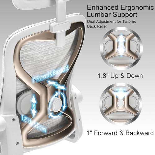 Ergonomic Office Chair for Back & Neck Pain Relief, Virgin Foam Seat, 2D Adjustable Lumbar & 3D Headrest, Tilt & Rock for ...