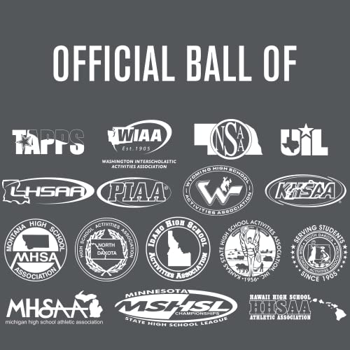 Baden | Perfection | Premium Leather | Indoor Official Game Volleyball | 13U to College | Official Size + Weight | NFHS + AVCA Approved