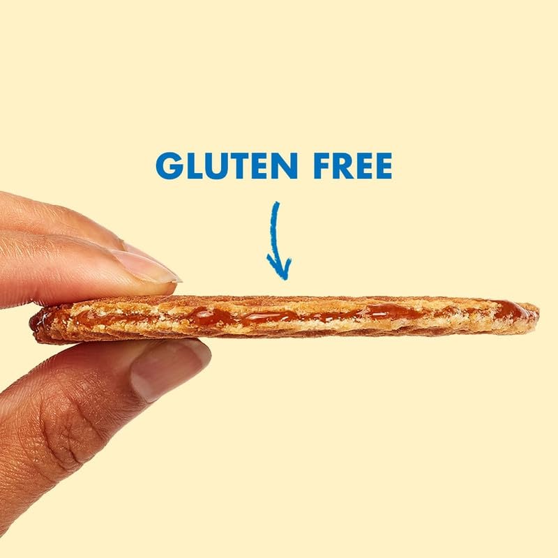 Rip Van Wafels Gluten-Free Stroopwafel - Dutch Caramel & Vanilla Stroopwafels Healthy Snacks Non-GMO Low Sugar (6g) Calorie, 12 Count