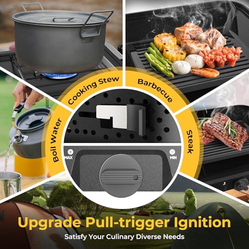 2 Burner Portable Camping Stove Propane, Folding Propane Stove for Camping, Camp Stove with 17,000 BTU,Two Adjustable Burn...