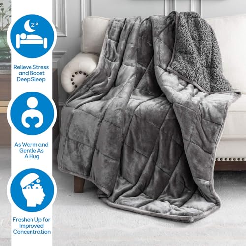 Cottonblue Weighted Blanket 15 lbs Queen Size 60x80 inches, Flannel Shaggy Sherpa Weighted Blanket for Adults Comfortable ...
