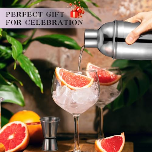 Cocktail Shaker Set, 6-Piece Mixology Bartender Kit Premium Shakers Bartending: Martini Shaker Jigger Mixing Spoon Muddler...