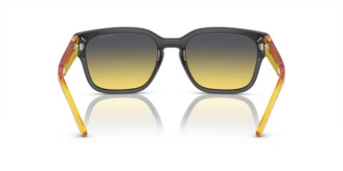 ARNETTE Sunglasses AN 4325 27862Q Hamie Transparent Grey Fifty Y