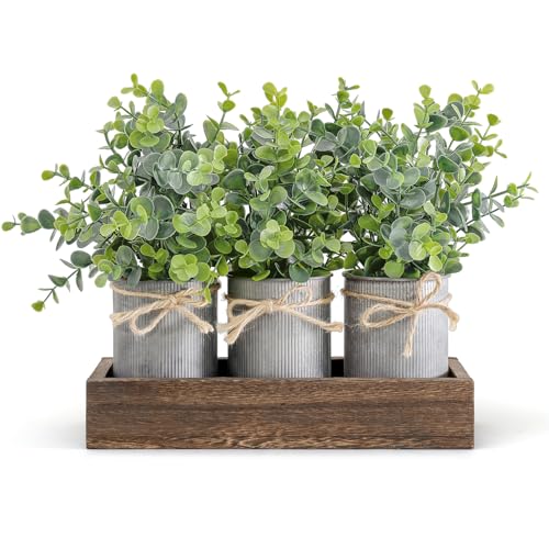 Dahey Centerpiece Table Decorations Coffee Table Decor Wood Tray 3 Galvanized Pots with Artificial Eucalyptus Plants Farmh...