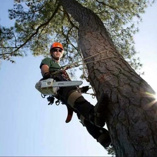 TraVisonyx Tree Climbing Gear, Tree Climbing Spikes，Arborist Equipment for Climbers, Hunting, Fruit Picking ，Logging Etc