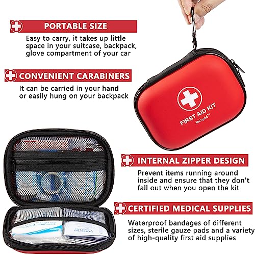 Mini First Aid Kit - 120 Piece Small Waterproof Hard Shell Medical Kit for Car, Home, Office, Travel, Camping, Sports, Out...