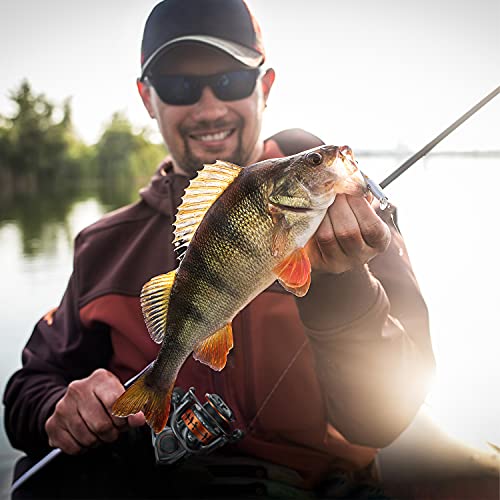 Cadence Fishing Combos with 10+1 Ideal Spinning Reel Bundle + 2PCS 6.6ft Lux Moderate Light Spinning Rod Perfect for Profe...