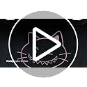 GTRACING Pink Gaming Chair Cute with Cat Ears Ergonomic Computer Chair with Cat Embroidery Adjustable Memory Foam Lumbar S...