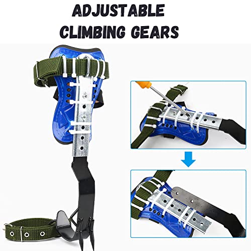 RANLOVE Tree Climbing Spikes Set, 304 Stainless Steel Adjustable Tree Climbing Spike 2 Gears and Non-Slip Pedal Trees, Pic...