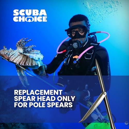 Scuba Choice 12" Stainless Steel Pole Spear Tip 8mm Female Single Barb Head – Durable Replacement Spearfishing Tip for Col...