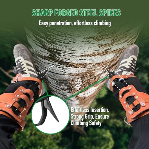 Poakkus Tree Climbing Spikes Set,Tree Climbing Gear, 1 Pair Alloy Steel Climbing Spurs,350lbs Load Capacity with Safety Se...